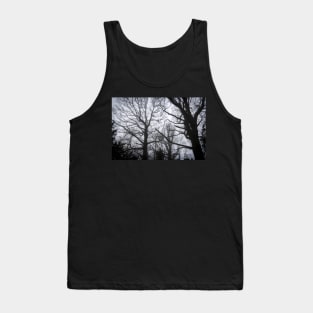 Tree Skeletons in fog Tank Top